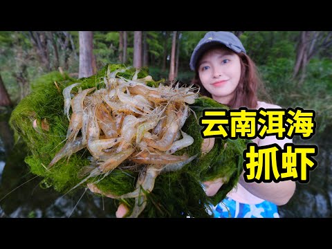 在云南洱海抓虾，100只白虾轻松上钩，做炸虾饼金黄酥脆！| 赶海 | 户外 | 美食 | 雲南 | 抓虾 |