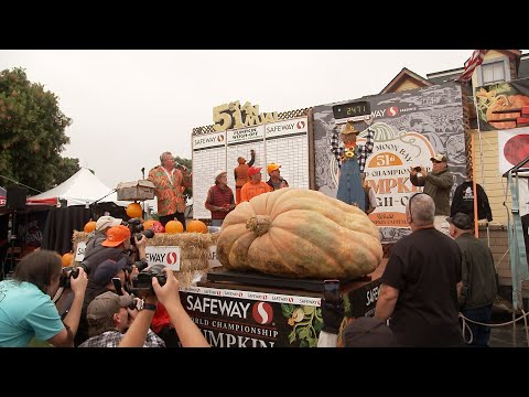 There's more to the international competition for world's largest pumpkin than just bragging rights.