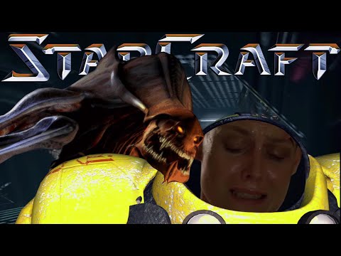 The StarCraft Experience