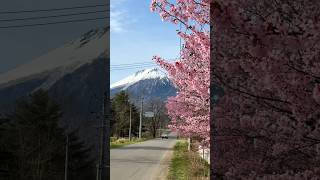 NOT Mt. Fuji. This is Mt. Iwate🇯🇵