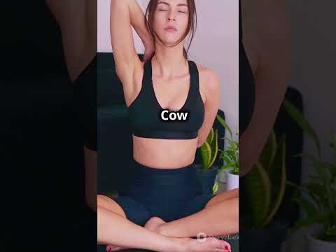 Unlock your spine with a Cat-Cow stretch!