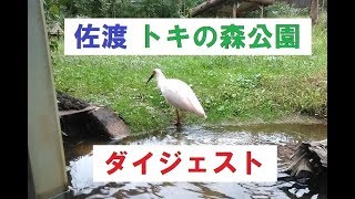 トキの森公園 ダイジェスト