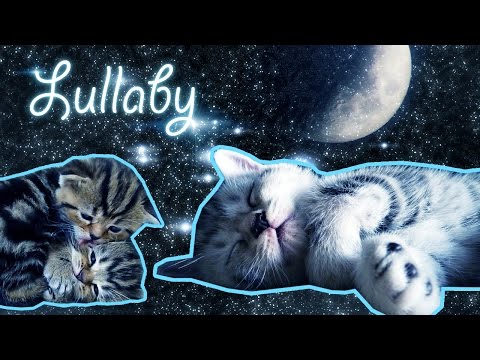 Lullaby for Kids, Cats, Kittens with Rock A Bye Baby Music