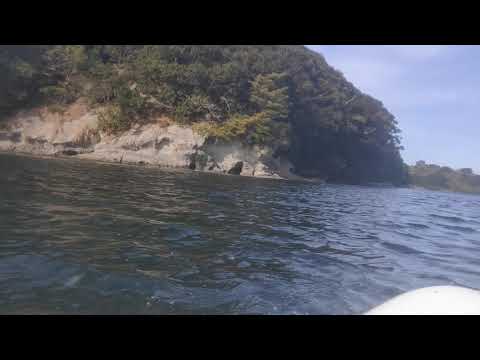 SUPサンポ 鹿島 原動画2