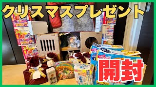 【保護猫】ファンの皆様から子猫へのクリスマスプレゼント開封！