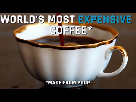 word's most EXPENSIVE coffee