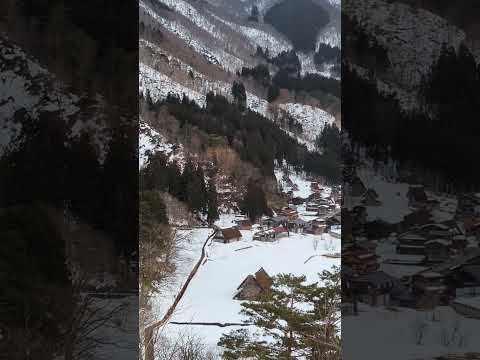 little trip to Shirakawa-go #travel #japan #youtubeshorts #shortvideo #adventure #shorts