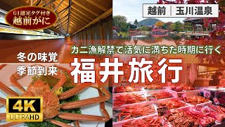 【福井旅行】冬の味覚”越前がに”を食べる旅｜カニ漁解禁で活気に湧く越前若狭を観光【4K】