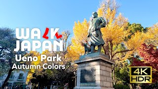 Ueno Park: Autumn Colors | Walk Japan