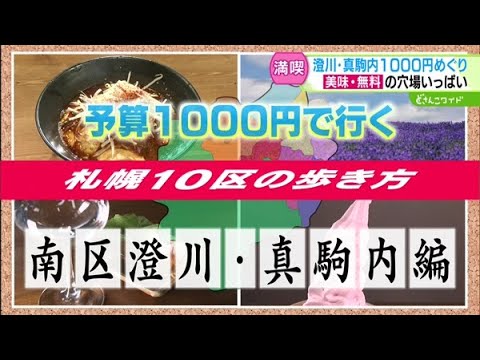 予算1000円で行く！札幌10区の歩き方〜南区澄川・真駒内編【どさんこワイド179】2024.11.11放送