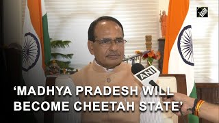 Madhya Pradesh will become cheetah state: CM Shivraj Singh Chouhan