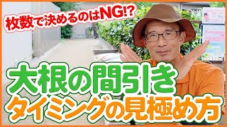 家庭菜園や農園の大根栽培で間引きは葉の枚数で決めるのはNG！？間引きのタイミングの見極め方を徹底解説！【農園ライフ】