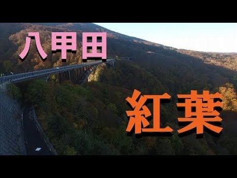 【青森県】八甲田の紅葉　2020