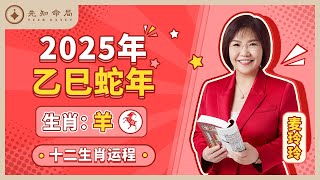 麦玲玲师傅详解2025蛇年运程：生肖羊！事业运、财运、人际关系、爱情、婚姻、健康全解析！