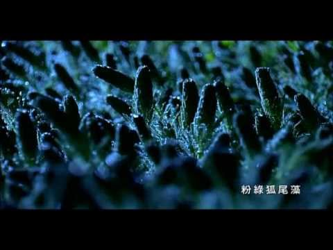 2011雙連埤濕地系列-浮島篇