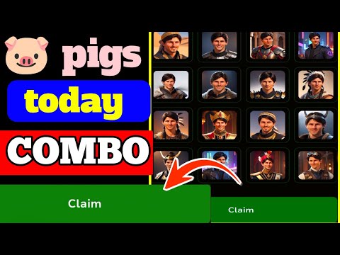 Pigshouse today combo solution|intelligent investment pigs task solution|pigs today combo