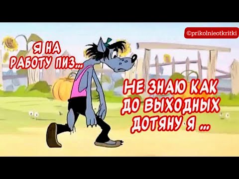 Я на работу пиз... С добрым утром! Отличного настроения🤣