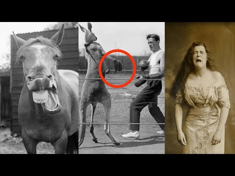 32 Historical Photos That will Make You Laugh