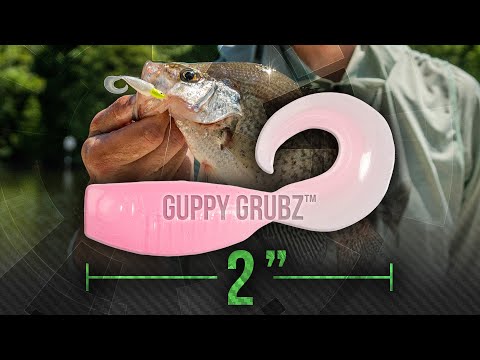 Introducing the GUPPY GRUBZ