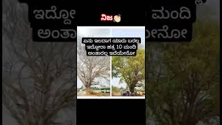 Motivationalkannadashorts#kannadatrendingshorts #kannadaquotes