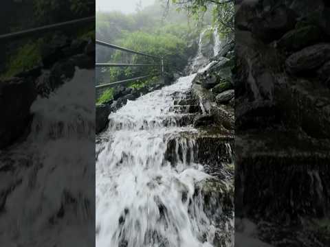 Korigad in mansoon.                            #korigad #korigadfort #waterfall #maharashtratourism