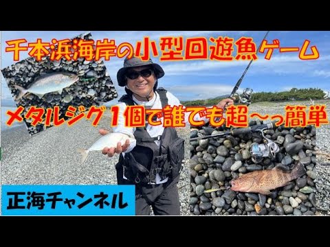 千本浜海岸の小型回遊魚ゲーム