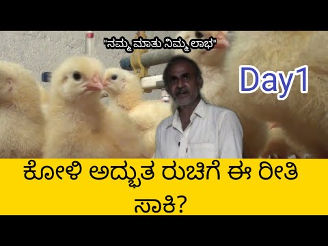 ಕೋಳಿ ಈ ರೀತಿ ಸಾಕಿದರೆ ಅದ್ಭುತ  ಫಲಿತಾಂಶ.