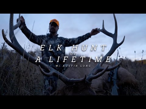 Elk Hunt of a Lifetime | 2023