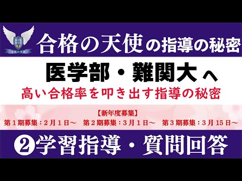 医学部・難関大へ驚異的合格率を叩き出す合格の天使の指導の秘密｜学習指導・質問対応編