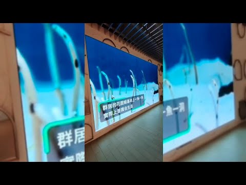 旅行vlog Xpark 水族館 |莉莉兒