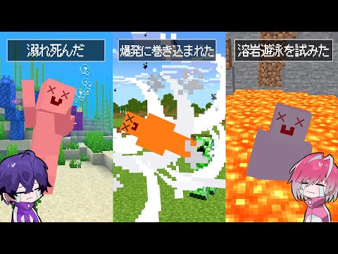 『指定された死亡ログ』しか死ねないマインクラフト【マイクラ】【めておら】【STPR新人歌い手グループ】