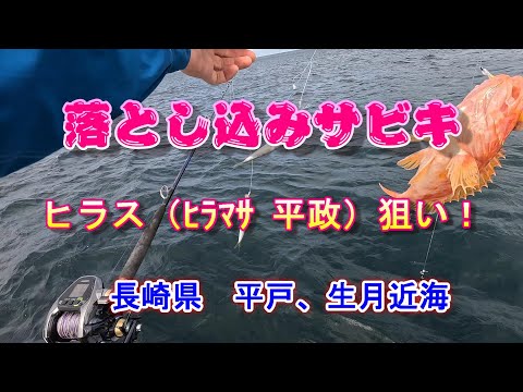 Drop fishing (aiming for bluefish, yellowtail amberjack) (off the coast of Hirado, , Nagasaki