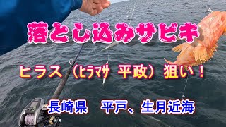 Drop fishing (aiming for bluefish, yellowtail amberjack) (off the coast of Hirado, , Nagasaki