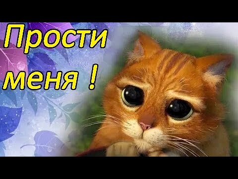 🙏Прошу прости меня🙏 / Извини