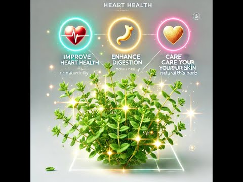 Unlocking Nature's Secret The Incredible Health Benefits of Thyme