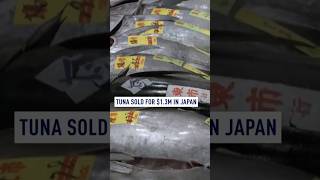 Tuna fetches over $1.3 million at Japan New Year's auction