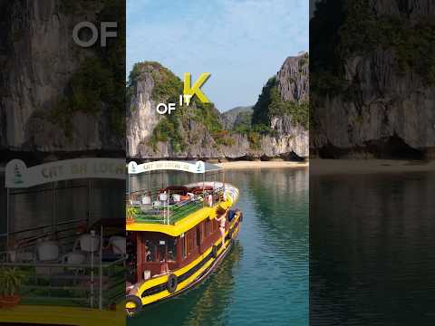 Jumping off a boat in Cat Ba, VIETNAM! 🇻🇳 Share this with your travel buddies 😉 #travelshorts