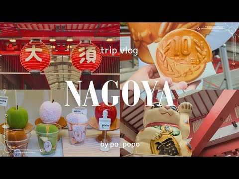 NAGOYA vlog walk in Osu market