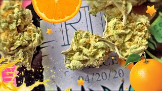 Orange Cream Pie Strain Review