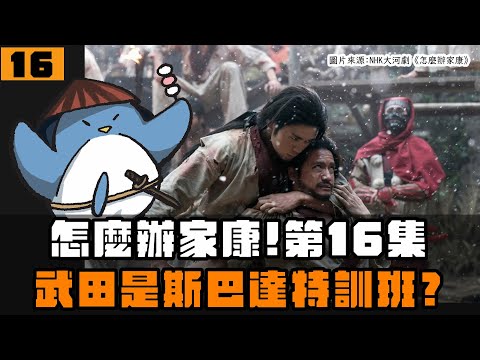 【怎麼辦家康】第16集・歷史解說 | 武田是斯巴達特訓營?家康為什麼惹信玄生氣?