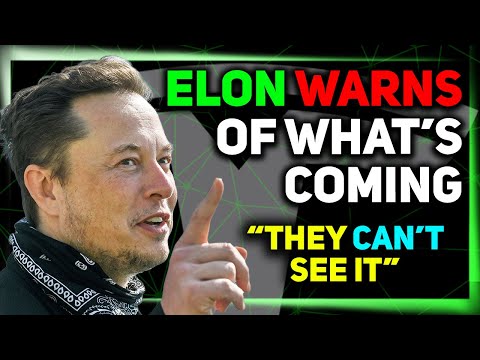 Auto Exec: The Elon Problem / Major HW3 Update / New Model Y Timeline ⚡️