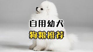 5款自用幼犬狗粮推荐，新手不踩雷！