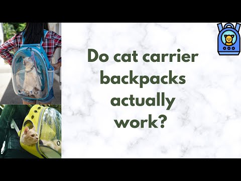 Can i carry my cat in a backpack? Do cat carrier backpacks actually work?