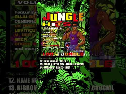 Do you know about Jet Star's Jungle Hits album series?? #junglemassive #junglemusic #junglednb