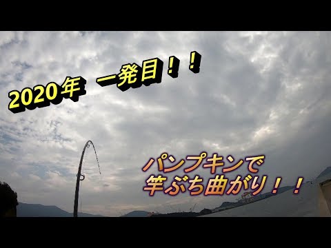 祝2020年！　大人気のアノルアー、買った日から大活躍！