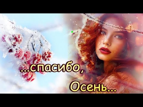 🎶🍁Благодарю Ноябрь за светлую печаль....🍁🎶🍁#спасибоосень