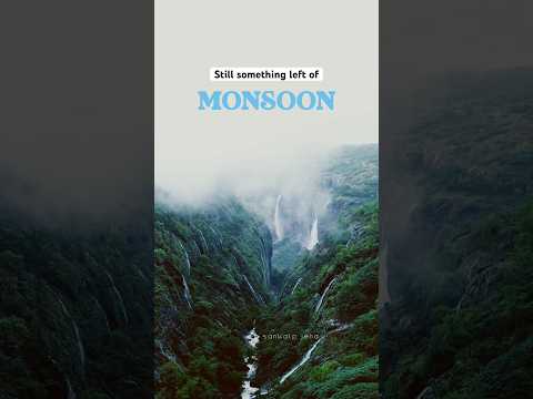 Monsoon continues in Maharashtra #shorts #shortsfeed #Maharashtra