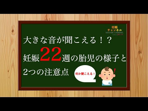 【妊娠22週】22週にママが気をつける行動知ってますか？大きな音に反応する22週胎児の様子