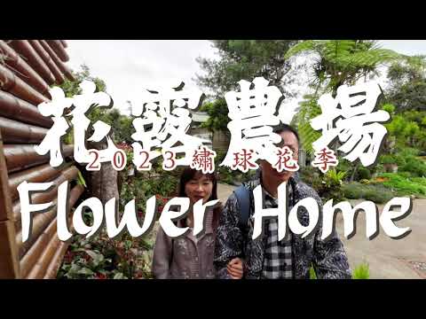 Amor Cherie Amor - R&B Hit Factory丨苗栗卓蘭丨花露農場丨2023繡球花季丨Osmo Action 3