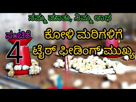 ಕೋಳಿ ಮರಿಗಳಿಗೆ ಟೈರ್ ಫೀಡಿಂಗ್ ಮುಖ್ಯ|| ಸಂಚಿಕೆ- 04 || Tyre Feeding is important || Episode-04 ||